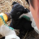 김정호 농장 이미지