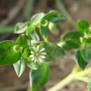 효자농장 이미지