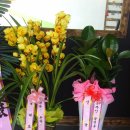 장인카서비스 이미지