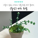 김천시노인복지관 | 서울 경기도 비즈 화분 만들기, 식물 트리 DIY 단체 힐링 클래스