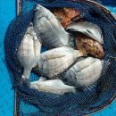 으뜸펜션 이미지