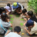 전북대 익산켐퍼스(동물병원) | 전라북도보도자료20260313금요일