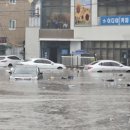 노곡분소 이미지