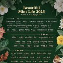 4/28(월)~5/2(금) 일상 : 행사 준비와 팀원 송별 회식