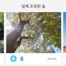 나무플래닛 이미지