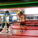 더 복싱 짐'엘' 이미지