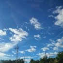 보르도애플스테이 이미지