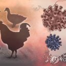 새서울농장(2) 이미지