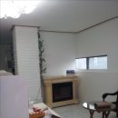 개 편한 애견샵 이미지