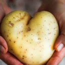 남일환경 이미지