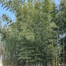 죽서루 화장실 이미지