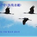 조비준승(鳥飛准繩) 이미지