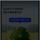 [일원1] 생활 속의 재테크 전략 | 케이뱅크 돈나무 현실 수익 분석과 현금 보상 전략 정리