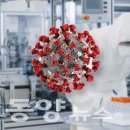 산호사우나 이미지