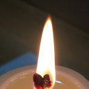 꽃과 함게하는 마음챙김(미술치료) | 빛명상 찐 후기 사랑한다고 말하렴