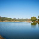 신평저수지 이미지