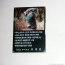 대전 골프 망설이지 말고 류영훈 골프교실로