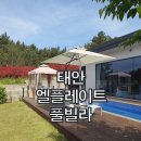 엘플레이트풀빌라 | 태안 몽산포 해수욕장 엘플레이트 풀빌라 내돈내산 후기