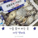 엔마트 아산점 이미지