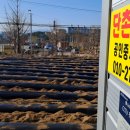 단촌부동산공인중개사사무소 이미지