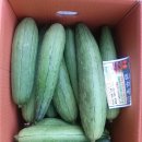열매통신 Daum카페