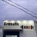 크로스핏225 이미지