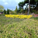 한밭수목원1 이미지