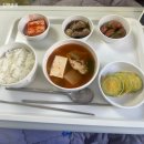 일가분식 | 10월 일상 로그 : 꼬리뼈 골절 입원 후기