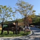 옥화자연휴양림 이미지