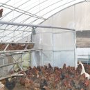 새자리농원 이미지