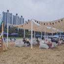 해변쉼터