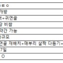 비중격 만곡증 기능코 미용코 무보형 코수술 상담 후기 (ㅂㅌㅇ성형외과, ㄹㅂㅇ의원)