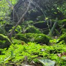 용소계곡 주차장 화장실 이미지