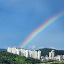 정남조삼계탕통영굴국밥 | 여름 보양식 굴밥 in 정남조삼계탕통영굴국밥