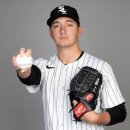 화이트특급 이미지