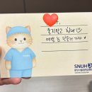 분당구미안경 | 유아사시 / 6세 간헐성외사시 분당서울대학교 수술후기, 비용 등 그날의 기록