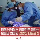 심미연합치과의원 네이버블로그