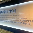 원조돼지이야기