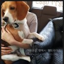오산명당복권방 이미지