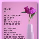 분홍 나막신 - 송찬호 이미지