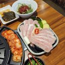 꽃피는고기
