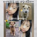 성한주유소 | 내돈내산 강남 성형외과 자가늑 코수술 2탄 일주일차 부목 실밥 제거당일까지