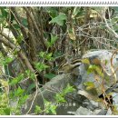 다람쥐모텔 이미지