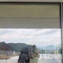 아셉오어
