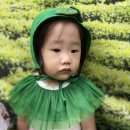 💜녹차밭에 왔어요🌱💜 이미지