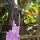 내지농장 이미지