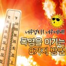 여름철 폭염을 잘 이겨 넷시다 이미지