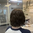 데일리수 이미지