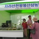 덕전농장 티스토리
