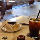 써니터틀 이미지